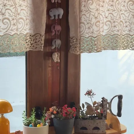 Prázdninový dům Moon Garden House Gomec